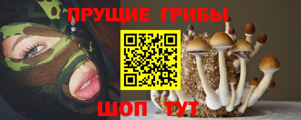 Уварово  Галлюциногенные грибы Magic Shrooms  Вход с VPN 